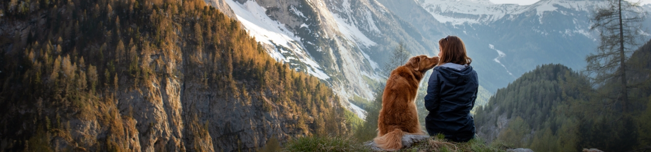 Aldergrove-Physiotherapy-and-Rehabilitation-Centre-Aldergrove-BC-dog-hiking-in-mountains